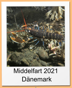 Middelfart 2021  Dänemark  .